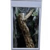 Terrarium Kameleon Zwierzęta Nadrzewne Outlet Okazja Cenowa - obrazek 2