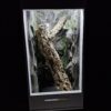 Terrarium Kameleon Zwierzęta Nadrzewne Outlet Okazja Cenowa - obrazek 3