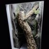 Terrarium Kameleon Zwierzęta Nadrzewne Outlet Okazja Cenowa - obrazek 4