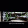 Terrarium 100x50x50 Agama/Wąż Mata Grzewcza LED Płyta Meblowa - obrazek 4