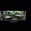 Terrarium 80x50x50 Płyta Meblowa Mata Grzewcza - obrazek 3