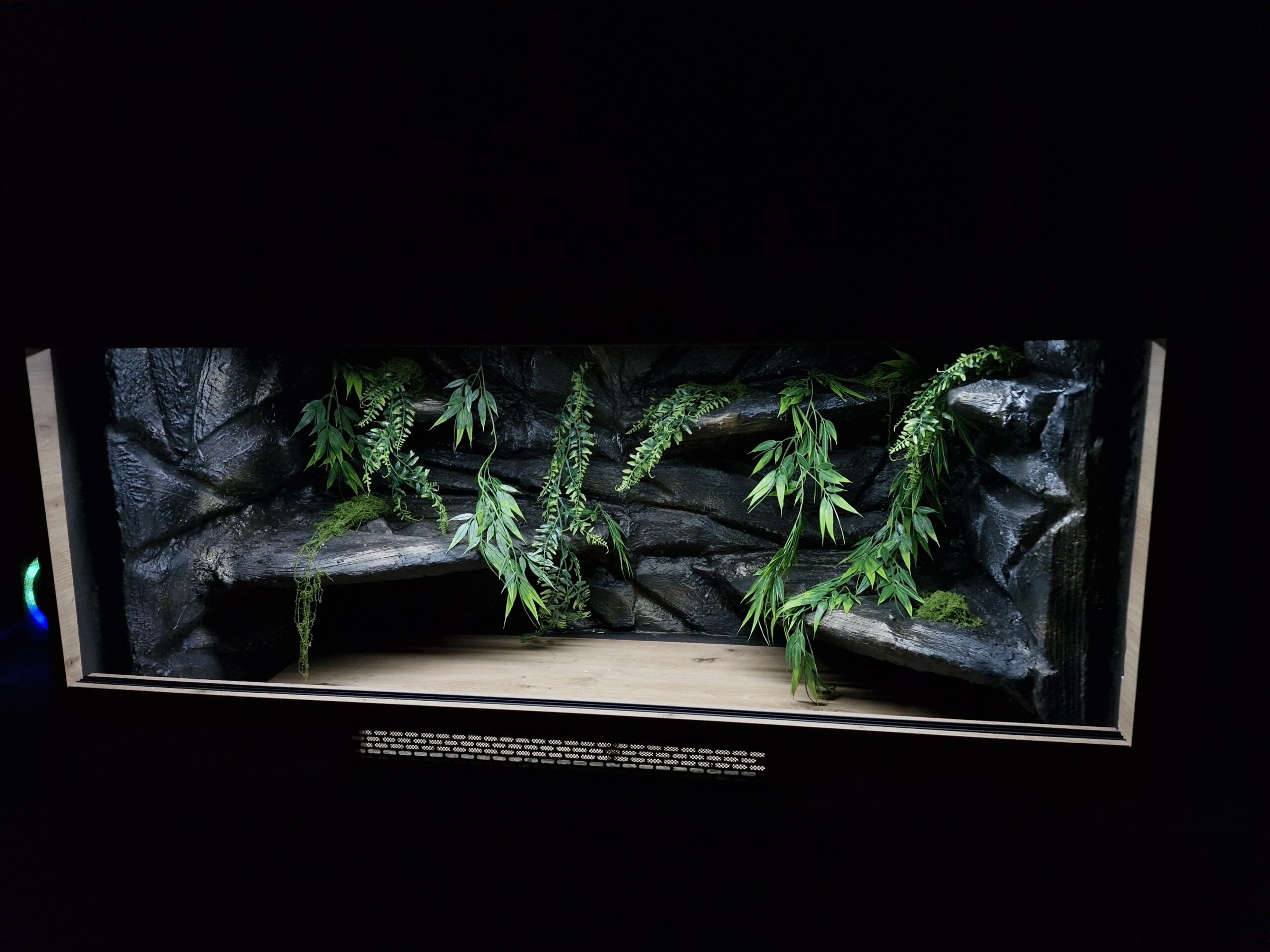 Terrarium 120x60x60 Agama Brodata T5 Dąb Artisan Płyta Meblowa - obrazek 3