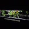 Terrarium 100x40x40 Mata Grzewcza Płyta meblowa Gekon Wąż Agama - obrazek 3