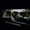 Terrarium 100x50x50 Płyta Meblowa Biała Oprawa E27 Led Personalizacja - Image 5