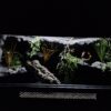 Terrarium 100x50x50 Płyta Meblowa Biała Oprawa E27 Led Personalizacja - Image 6