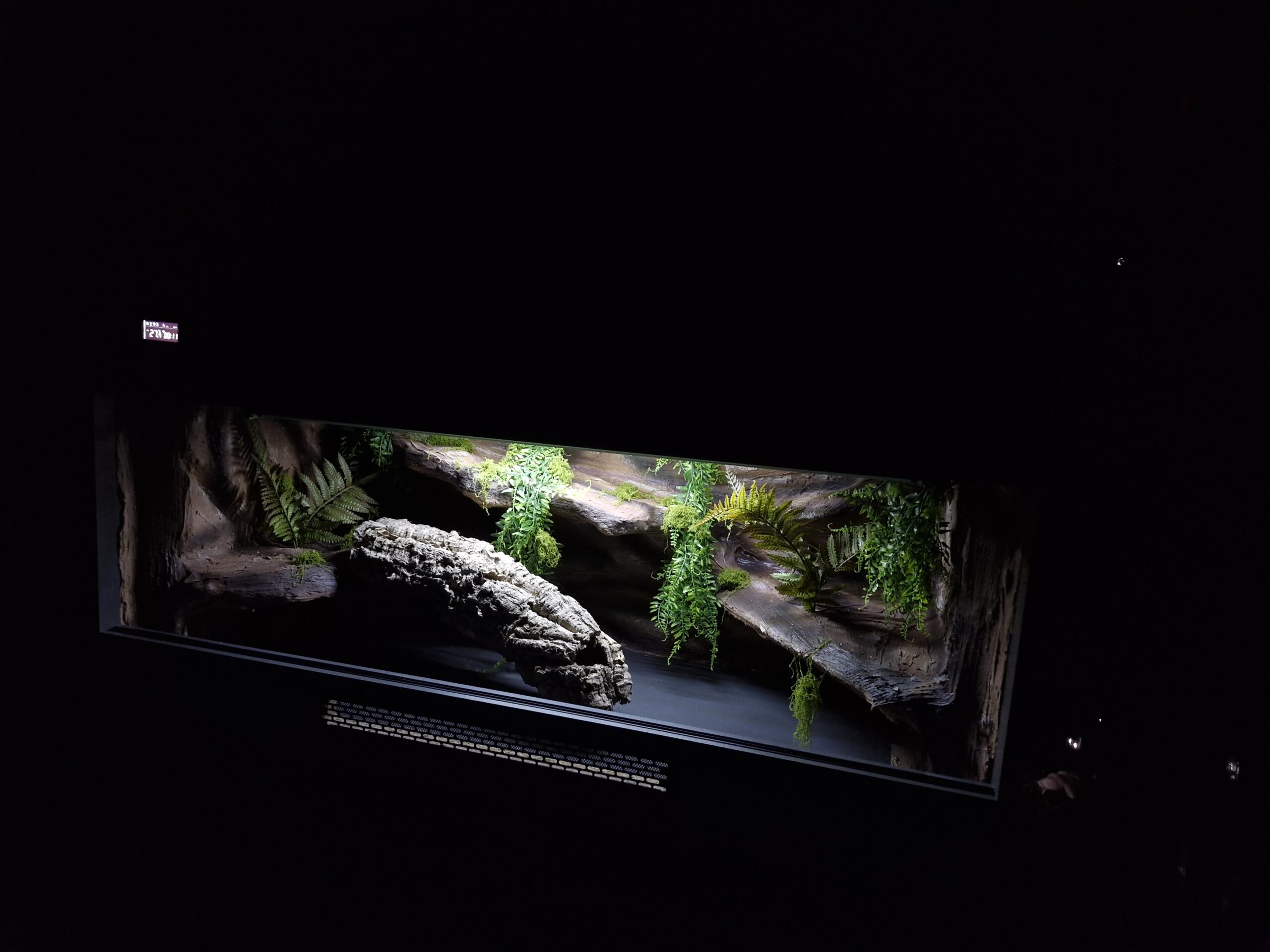 Terrarium 120x60x60 Podwójny sufit T5 Termostat Oprawa E27 Wystrój ANTRACYT - Image 6
