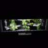 Terrarium 80x40x40 Mata Grzewcza/Led Czarna - Image 6