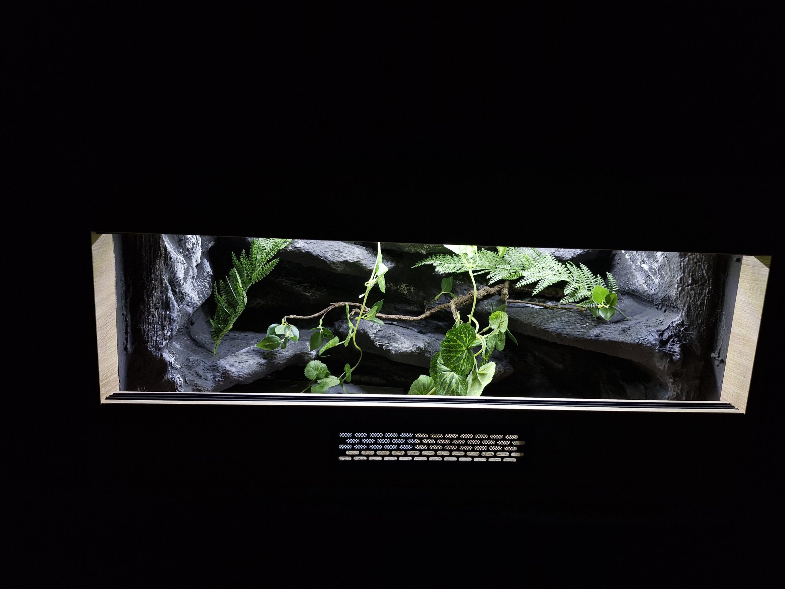 Terrarium 80x40x40 Mata Grzewcza/Led - obrazek 6