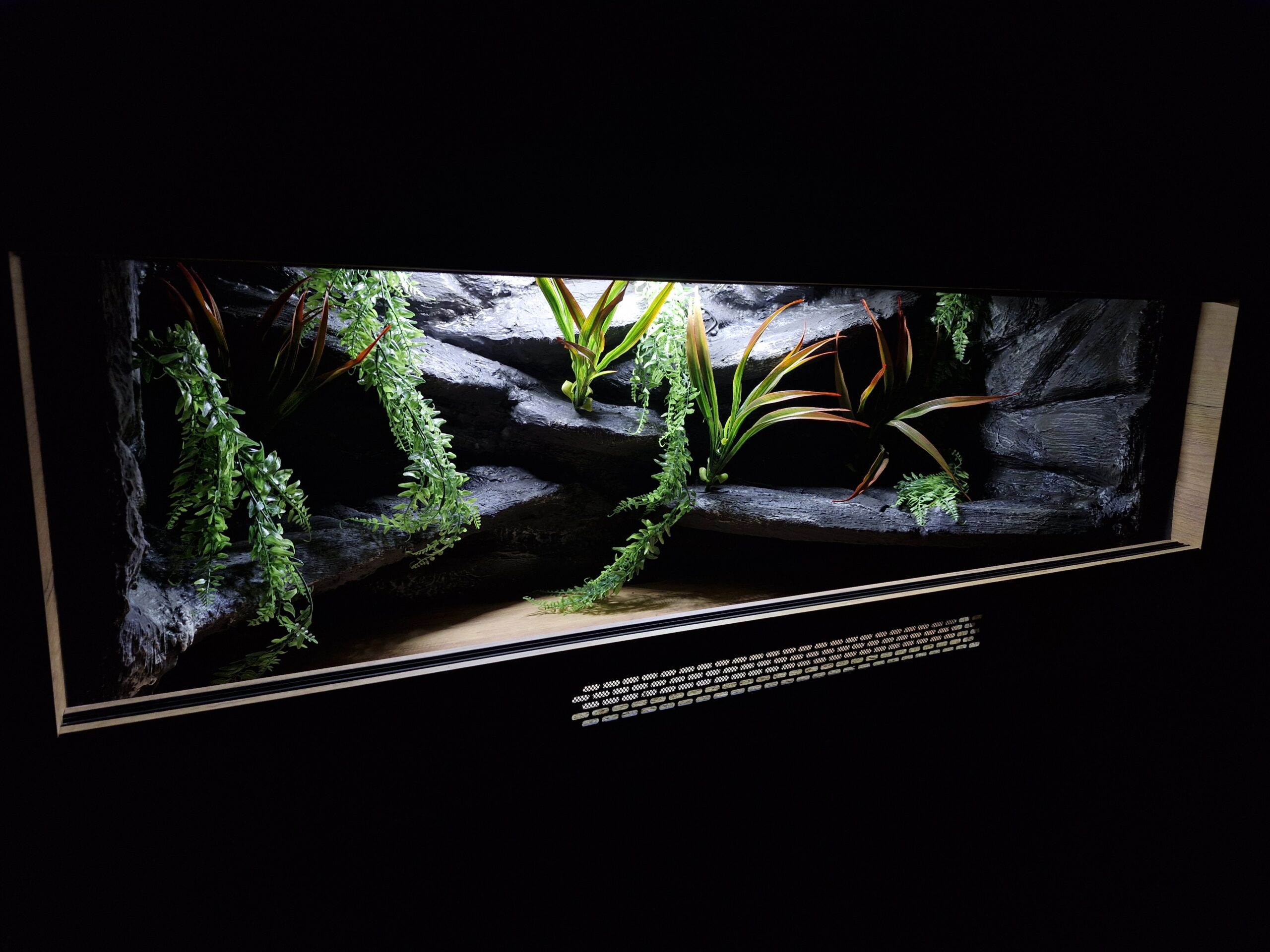 Terrarium 120x50x50 Dąb Artisan Oprawy e27 Wąż/Gekon/Agama - obrazek 5