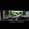 Terrarium 100x50x50 Agama/Wąż Mata Grzewcza LED Płyta Meblowa - obrazek 6