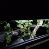 Terrarium 100x40x40 Mata Grzewcza Płyta Meblowa Gekon Wąż Agama - obrazek 5