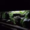 Terrarium 100x50x50 Płyta Meblowa Oprawa E27 Led - Image 6