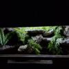 Terrarium 100x50x50 Płyta Meblowa Oprawa E27 Led - Image 7