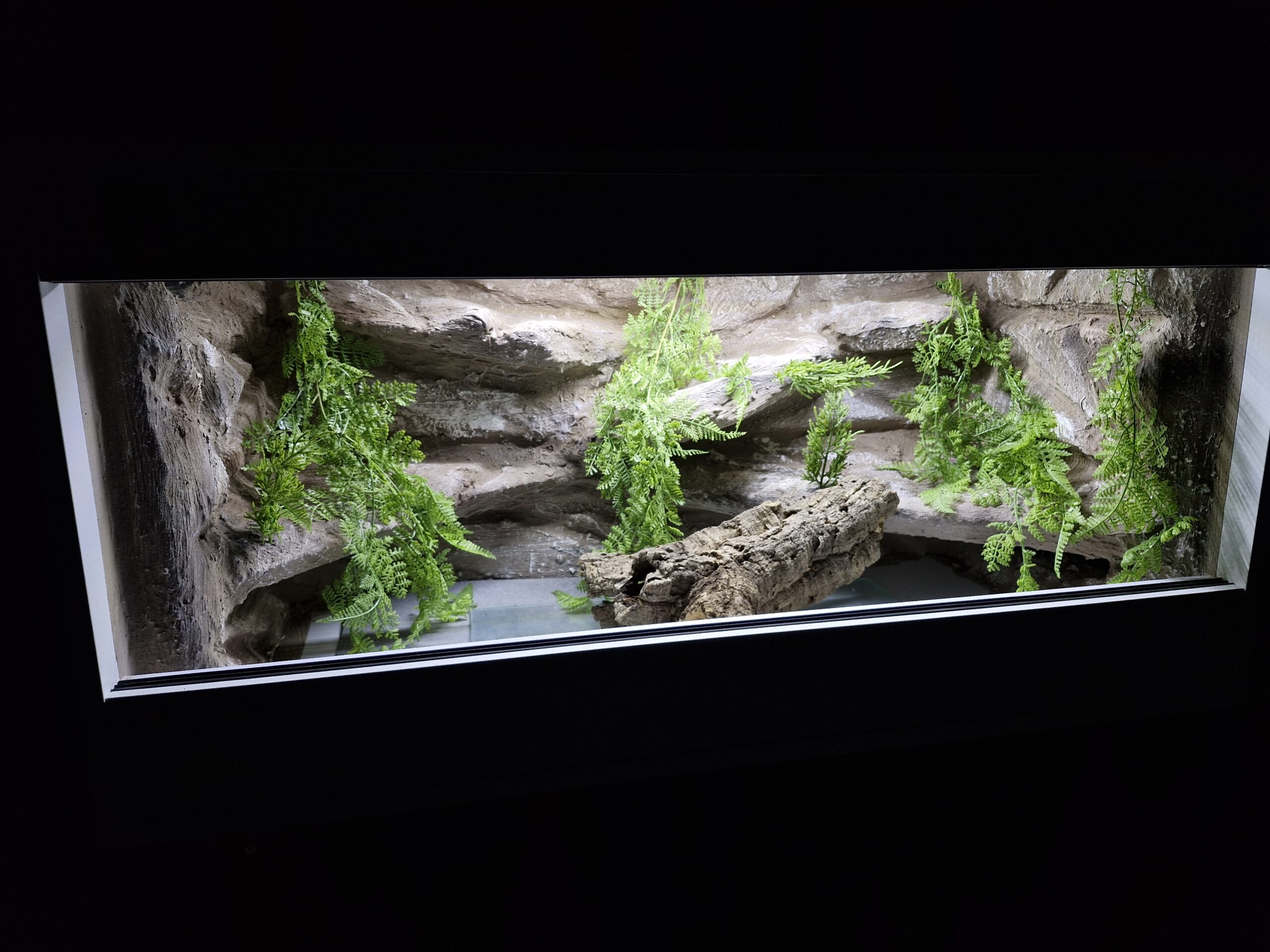 Terrarium 100x50x50 Mata Grzewcza Płyta Meblowa Gekon Wąż Agama - obrazek 8