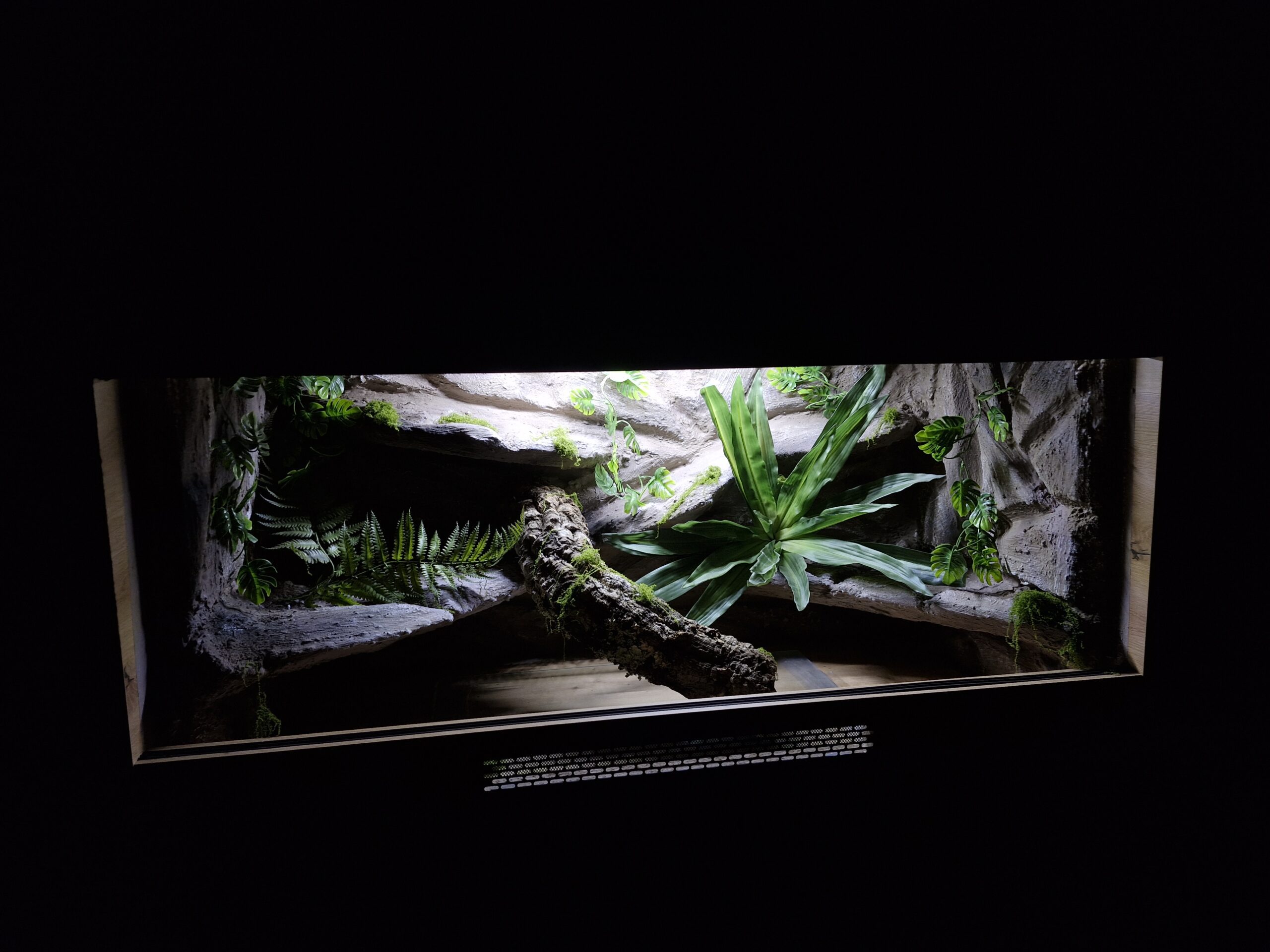 Terrarium 120x60x60 E27 Agama Brodata Płyta Meblowa Dąb Artisan - Image 3