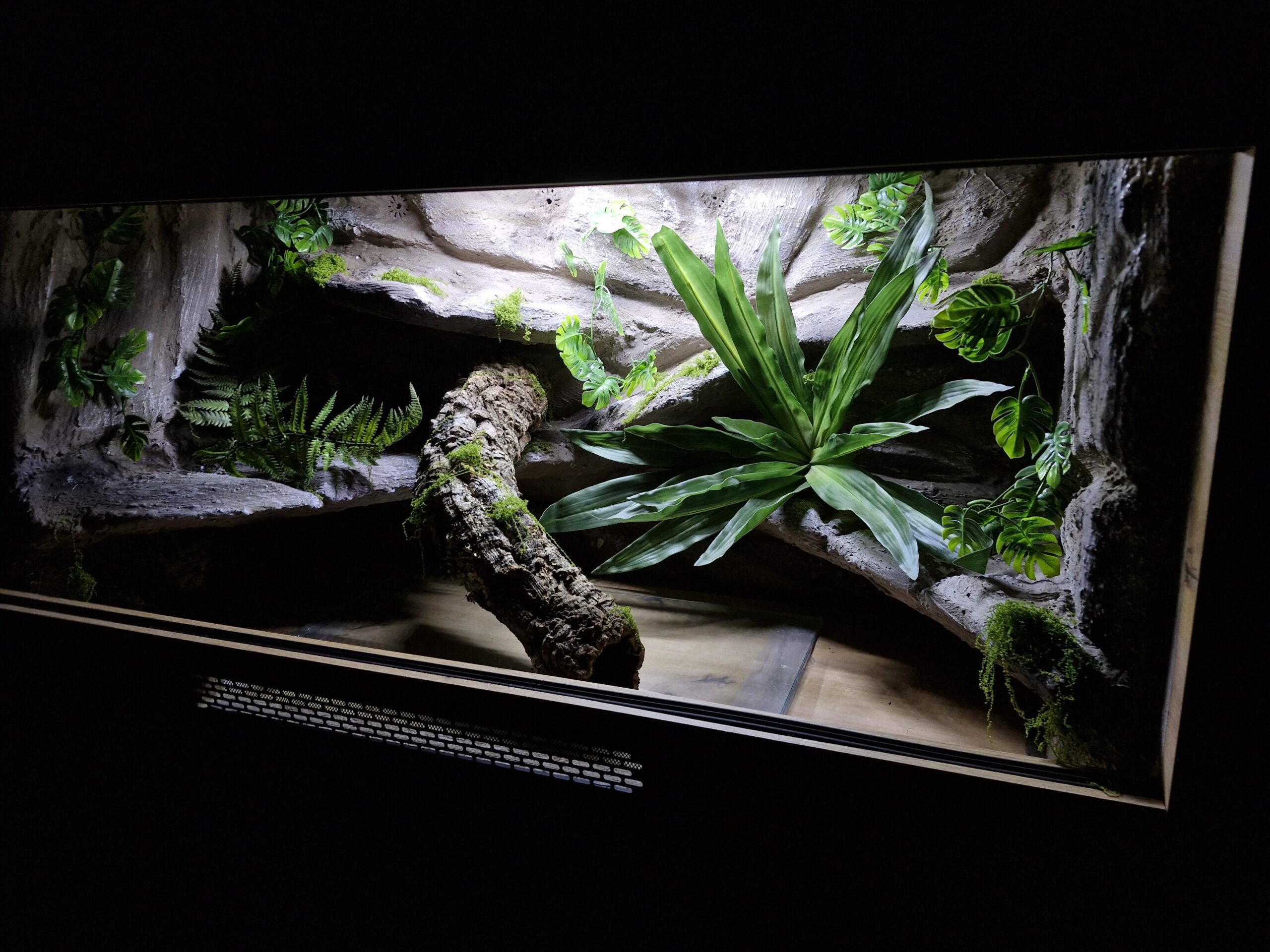 Terrarium 120x60x60 E27 Agama Brodata Płyta Meblowa Dąb Artisan - Image 4