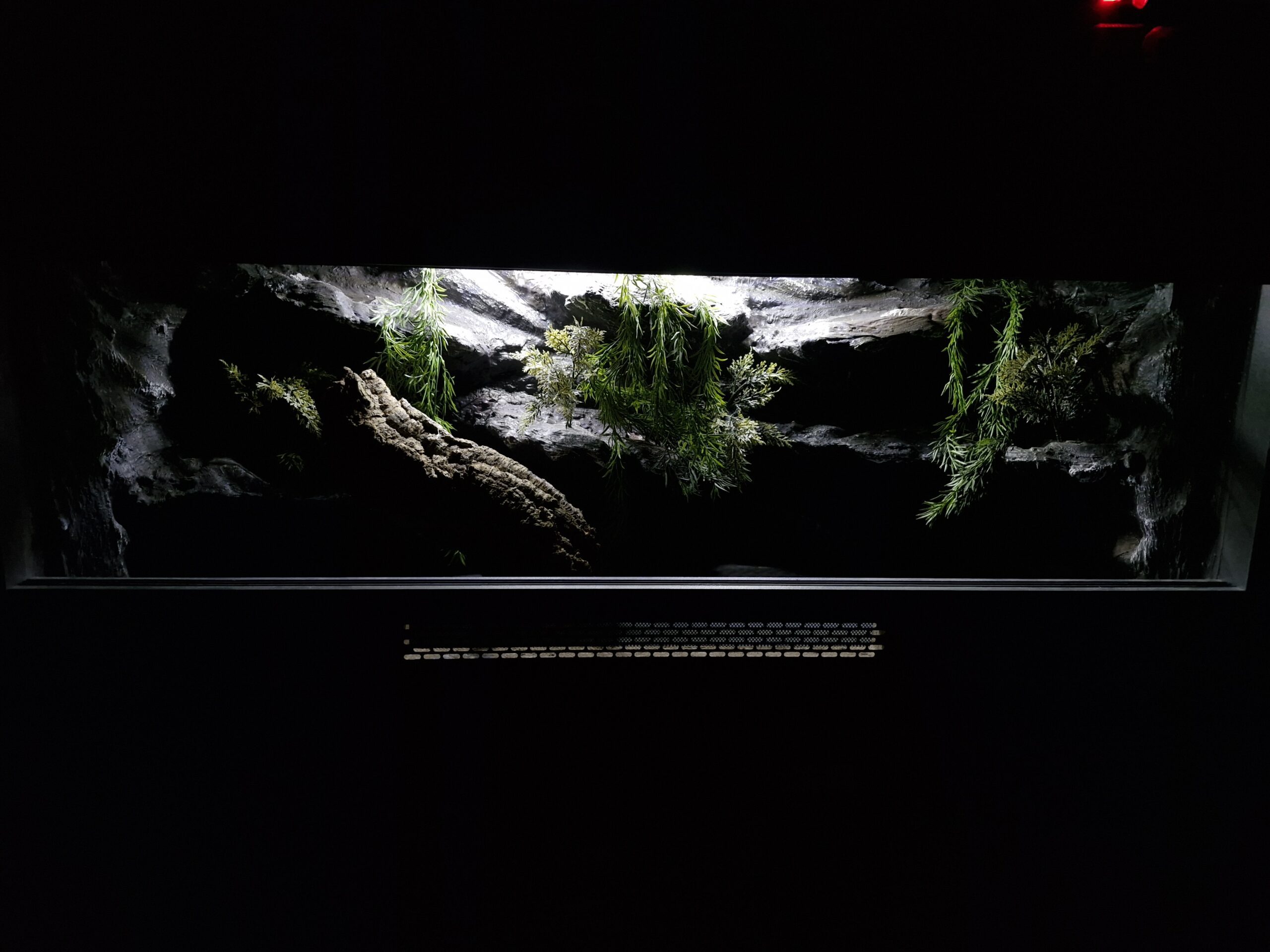 Terrarium 120x50x50 Dąb Craft Oprawy e27 Wąż/Gekon/Agama - Image 6