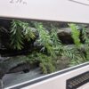 Terrarium 80x40x40 Mata Grzewcza/Led Płyta Meblowa Wystrój PERSONALIZACJA - obrazek 5