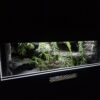 Terrarium 80x40x40 Mata Grzewcza/Led Płyta Meblowa Wystrój PERSONALIZACJA - obrazek 6