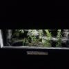 Terrarium 80x40x40 Mata Grzewcza/Led Płyta Meblowa Wystrój PERSONALIZACJA - obrazek 7