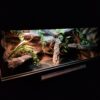 Terrarium 100x50x50 Płyta Meblowa Oprawa E27 Led - obrazek 5