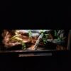 Terrarium 100x50x50 Płyta Meblowa Oprawa E27 Led - obrazek 6
