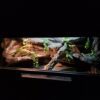 Terrarium 100x50x50 Płyta Meblowa Oprawa E27 Led - obrazek 7