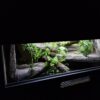 Terrarium 80x40x40 Mata Grzewcza/Led Płyta Meblowa Wystrój PERSONALIZACJA - obrazek 5