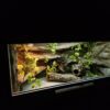 Terrarium 120x60x60 Agama Brodata T5 Płyta Meblowa Kolor Biały PERSONALIZACJA KLENTA - obrazek 8