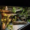 Terrarium 120x60x60 Agama Brodata T5 Płyta Meblowa Kolor Biały PERSONALIZACJA KLENTA - obrazek 7