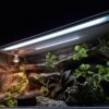 Terrarium 120x60x60 Agama Brodata T5 Płyta Meblowa Kolor Biały PERSONALIZACJA KLENTA - obrazek 5