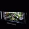 Terrarium 60x40x40 Gekon/Wąż Mata Grzewcza Wystój GadziLandia Płyta Meblowa - obrazek 5