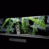 Terrarium 80x40x40 Mata Grzewcza/Led Płyta Meblowa Wystrój - Image 6