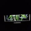 Terrarium 80x40x40 Mata Grzewcza/Led Płyta Meblowa Wystrój - Image 8