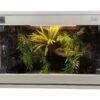 Terrarium 60X40X40 LED / grzanie / wystrój / II gatunek OUTLET - obrazek 5