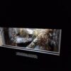 Terrarium 60x40x40 Gekon/Wąż Mata Grzewcza Wystój GadziLandia Płyta Meblowa - obrazek 5