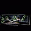 Terrarium 120×60×60 Podwójny Sufit Oprawa t5 Oprawa e27 Led Agama Brodata Wąż Dąb Craft Termostat DZIEŃ/NOC - obrazek 8