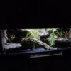Terrarium 120x50x50 Czarne Mata Grzewcza Zestaw WĄŻ PERSONALIZACJA - Image 6