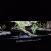 Terrarium 120x50x50 Czarne Mata Grzewcza Zestaw WĄŻ PERSONALIZACJA - Image 7