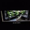 Terrarium 80x50x50 Płyta Meblowa Mata Grzewcza - Image 5