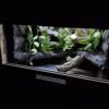 Terrarium 80x50x50 Płyta Meblowa Mata Grzewcza - Image 6