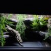Terrarium 80x50x50 Oprawy e27 Gekon WĄŻ - Image 7