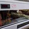 Terrarium 100x40x40 Mata Grzewcza Termostat Gekon Wąż - obrazek 6