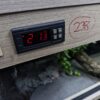 Terrarium 100x40x40 Mata Grzewcza Termostat Gekon Wąż - obrazek 5
