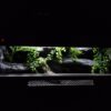 Terrarium 100x40x40 Mata Grzewcza Termostat Gekon Wąż - obrazek 7