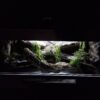 Terrarium 100x50x50 Oprawy e27 Outlet AGAMA GEKON WĄŻ - Image 8