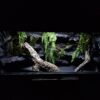 Terrarium 120x60x60 Mata Grzewcza Płyta Meblowa Dąb Artisan - obrazek 6