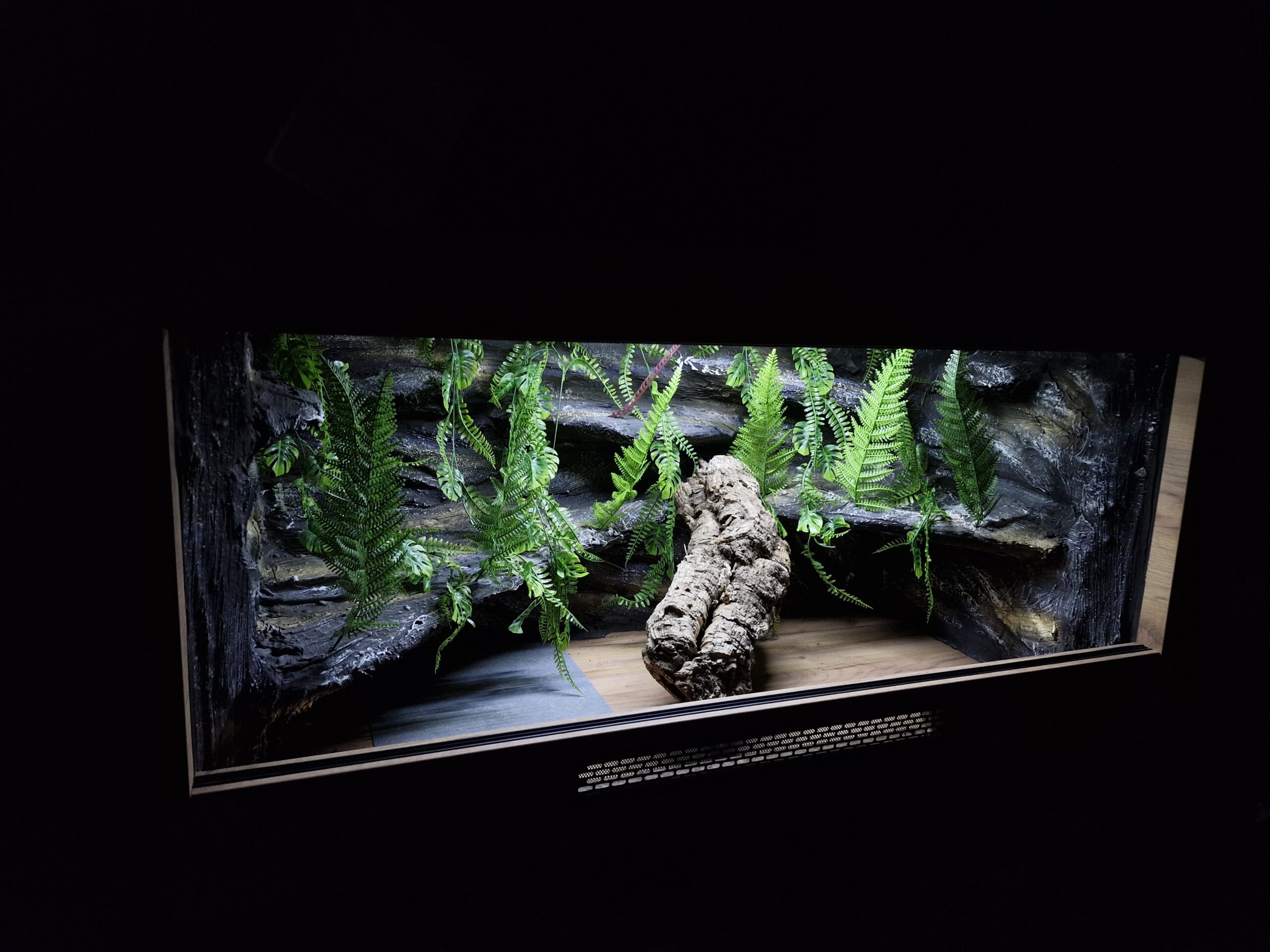 Terrarium 120x60x60 Mata Grzewcza Płyta Meblowa - obrazek 5