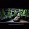 Terrarium 120x60x60 Mata Grzewcza Płyta Meblowa - obrazek 6