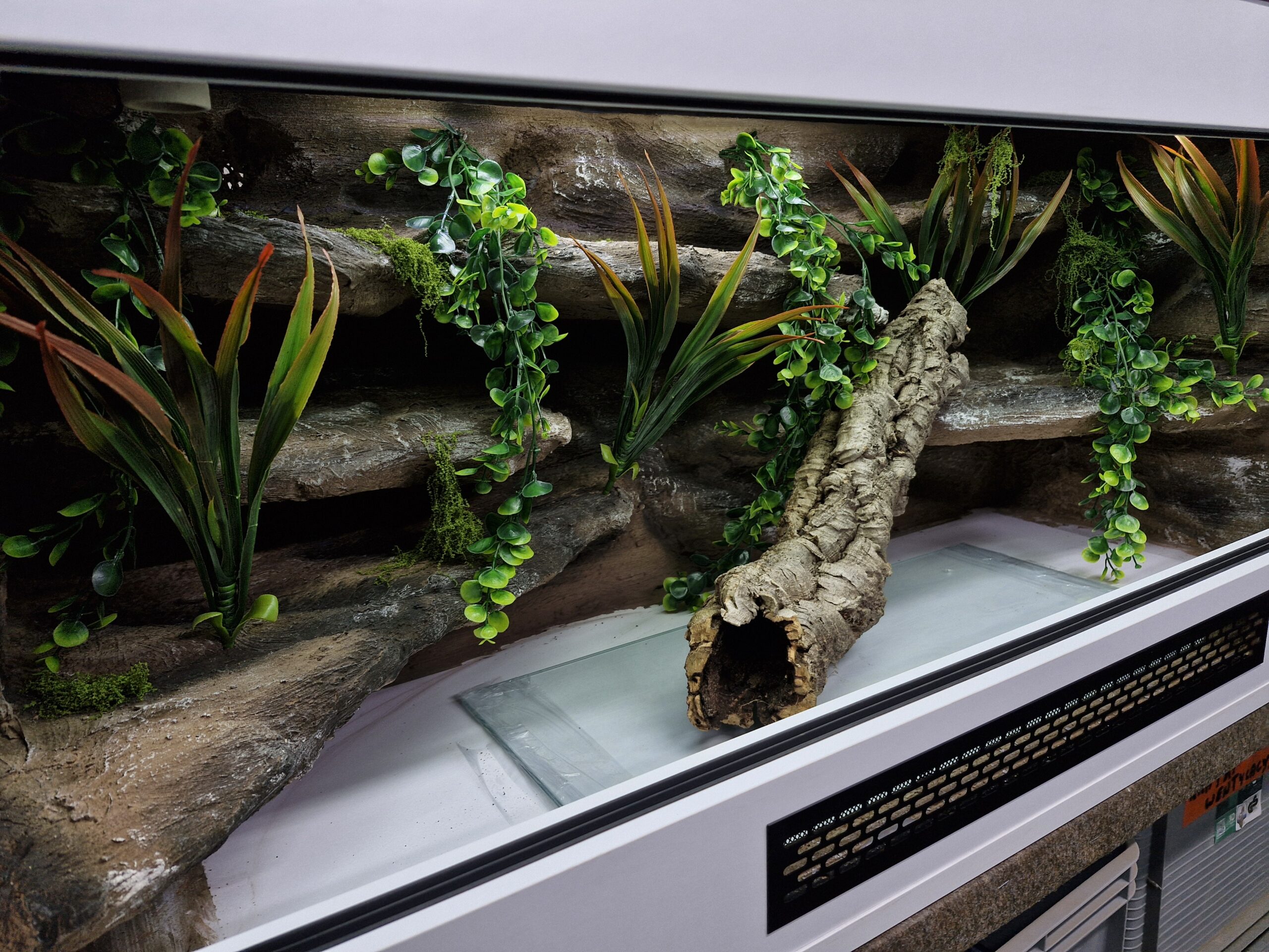 Terrarium 120x50x50 Płyta Meblowa Oprawy e27 Wąż/Gekon/Agama - Image 5